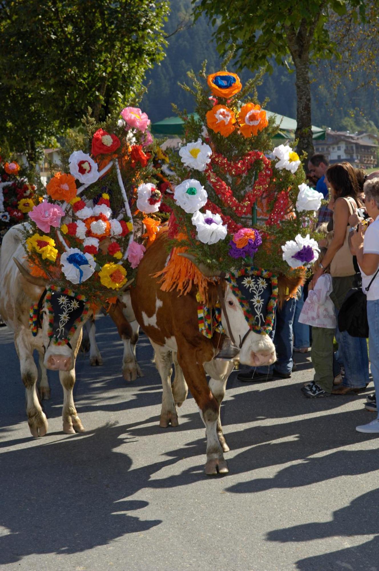 Ferienhotel Tyrol Soell Am Wilden Kaiser 외부 사진